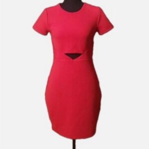 Express Vibrant Red Mini Dress